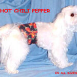This image has an empty alt attribute; its file name is chilipepper-150x150.jpg